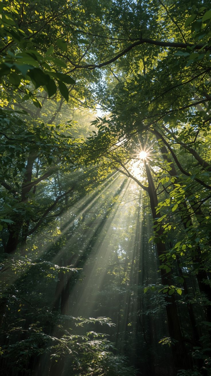 ISO 14001 - أنظمة الإدارة البيئية