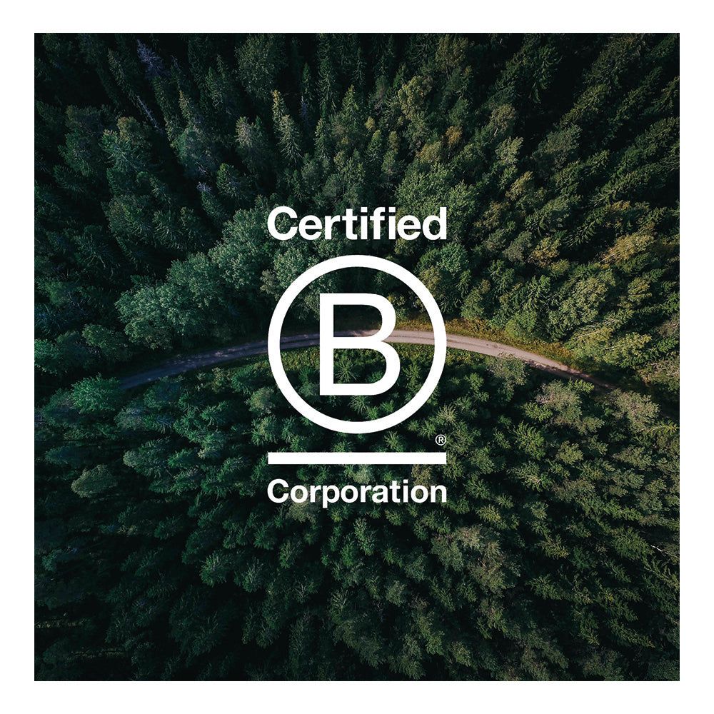 الجاهزية والدعم لشهادة B Corp